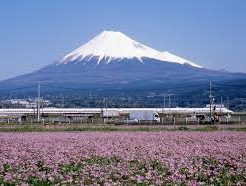 包茎手術富士に多い悩みや治療のきっかけ【静岡】